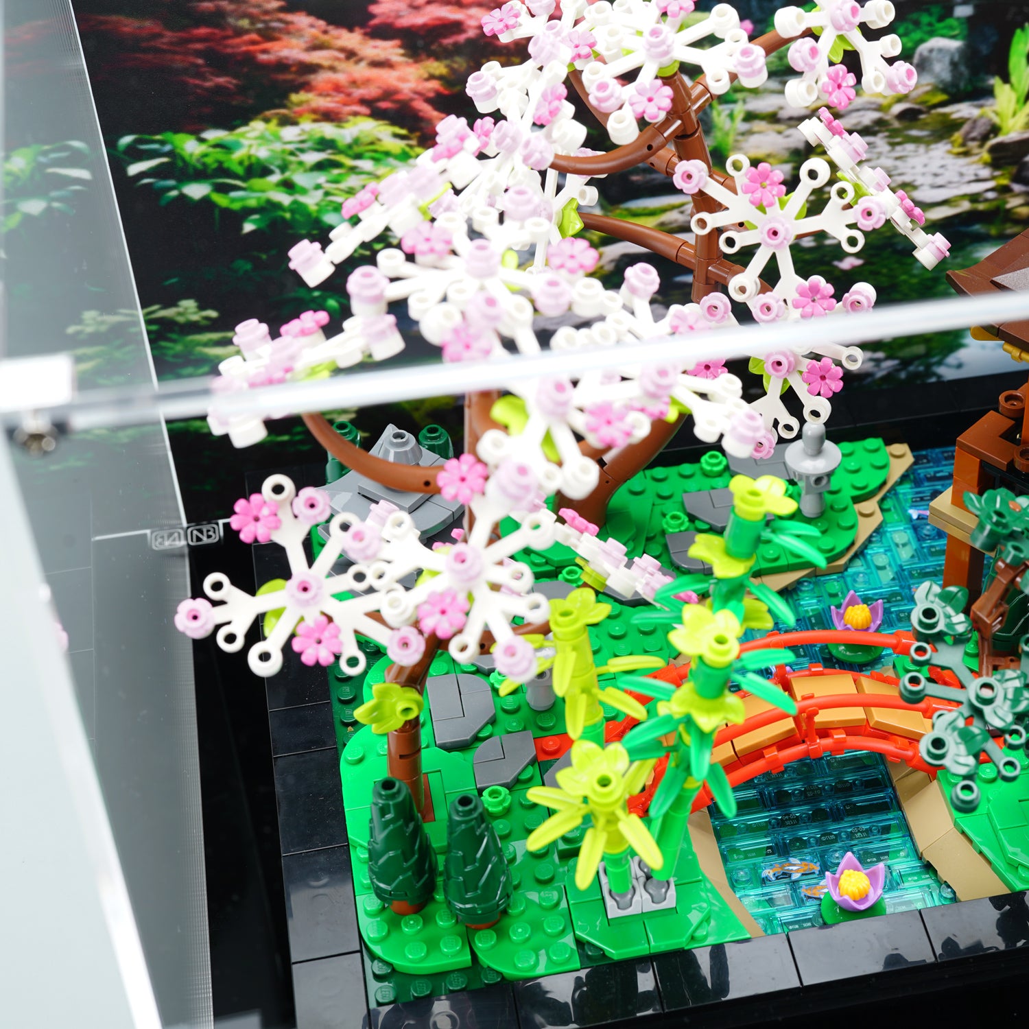 LEGO 10315 Tranquil Garden Display Case | ONBRICK