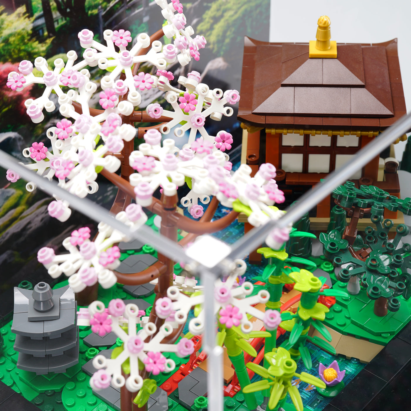 LEGO 10315 Tranquil Garden Display Case | ONBRICK