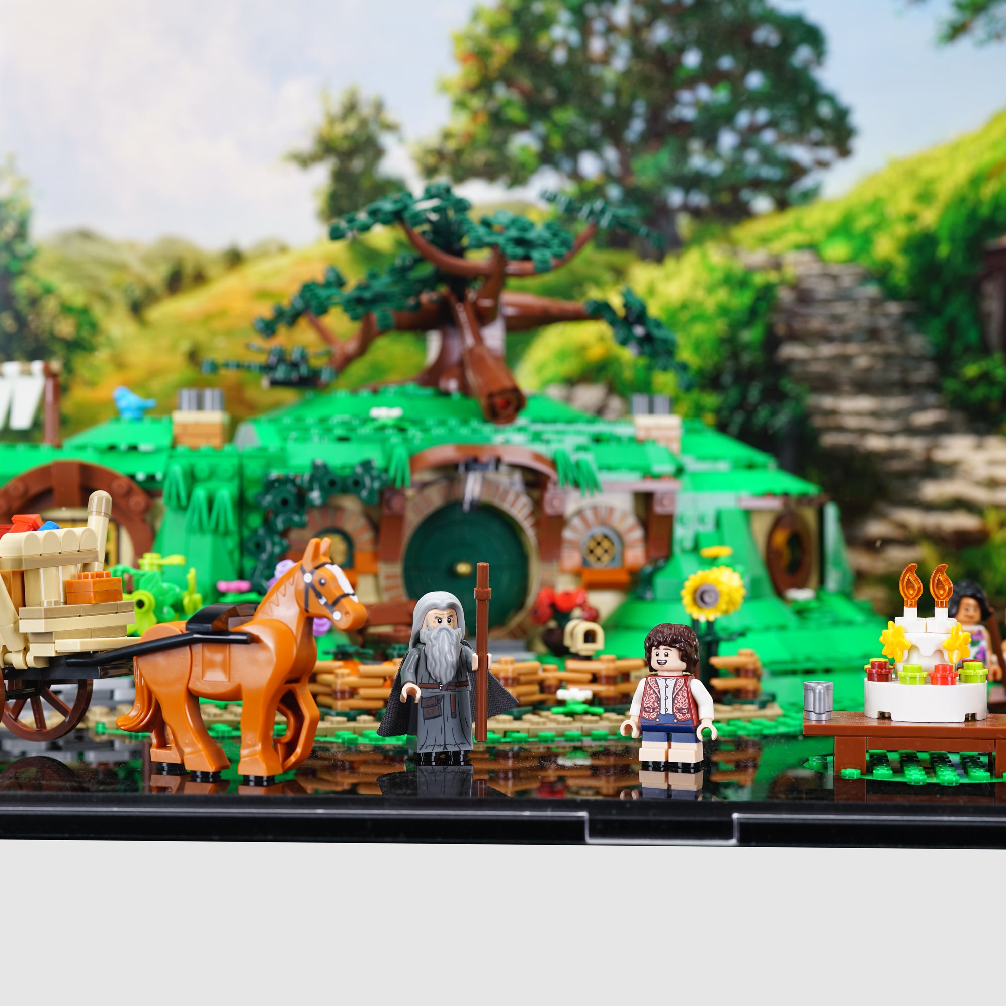 10354 The Lord of the Rings: The Shire™ Display Case
