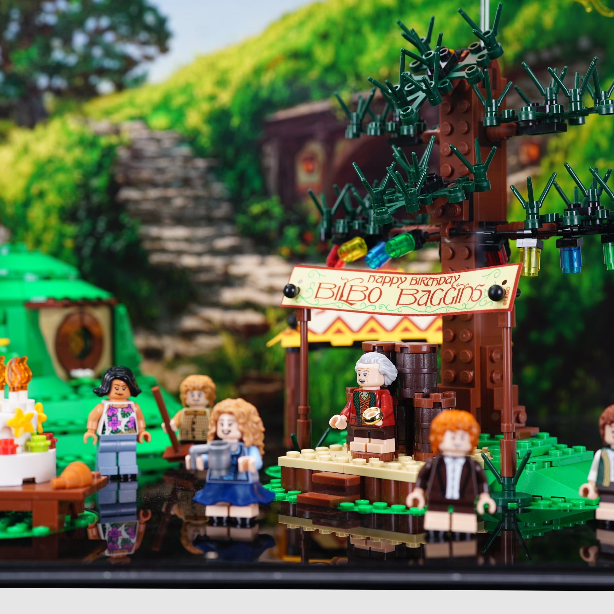 10354 The Lord of the Rings: The Shire™ Display Case