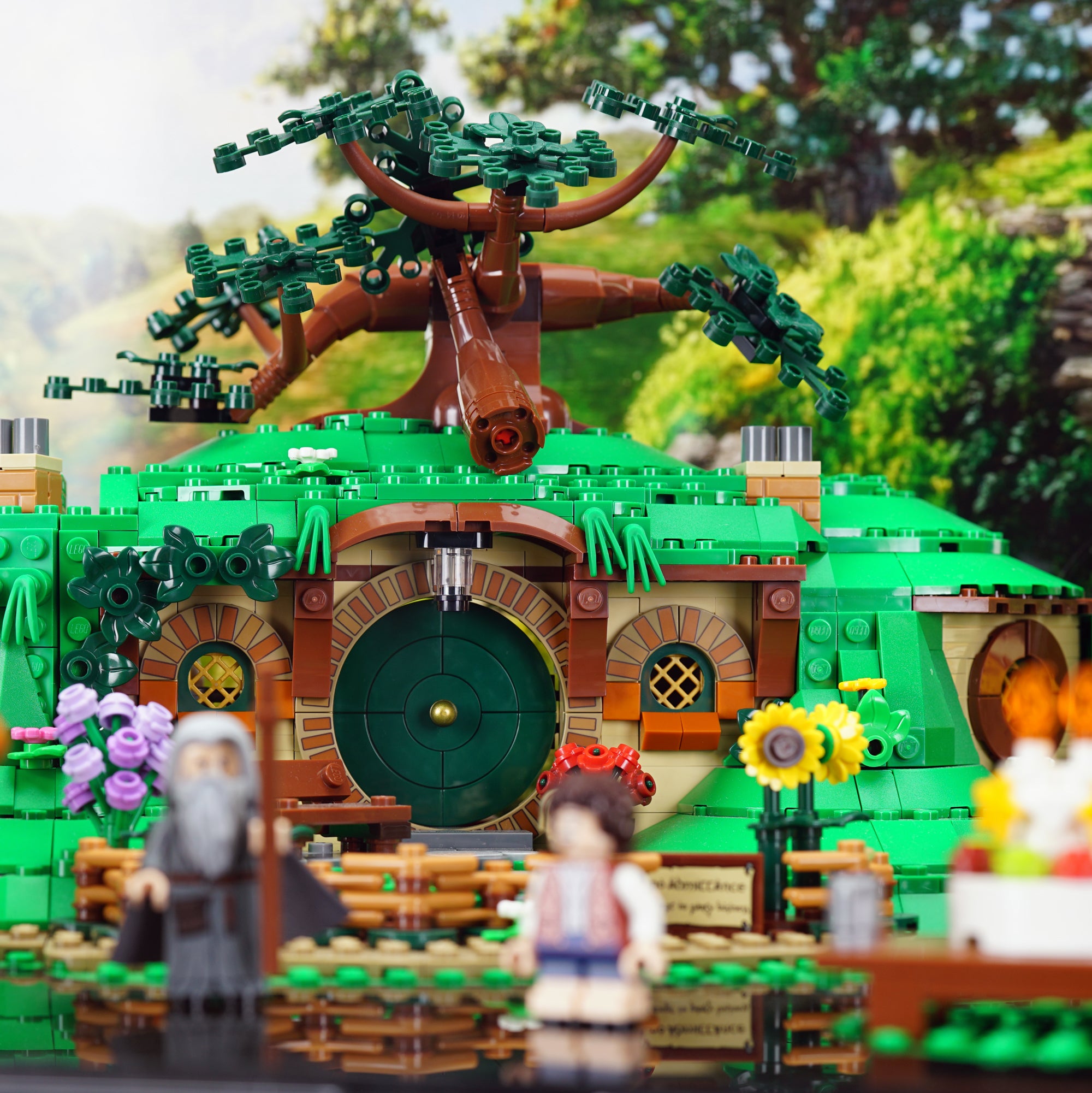 10354 The Lord of the Rings: The Shire™ Display Case