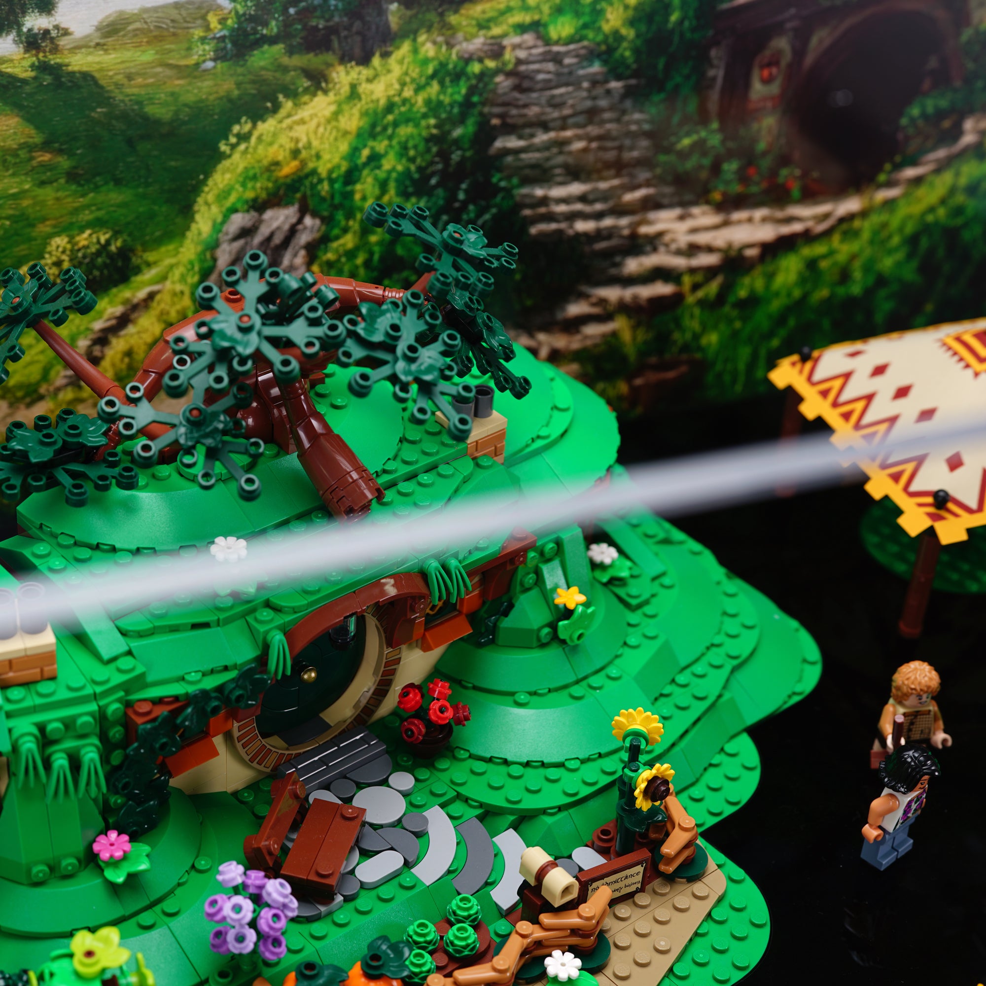 10354 The Lord of the Rings: The Shire™ Display Case