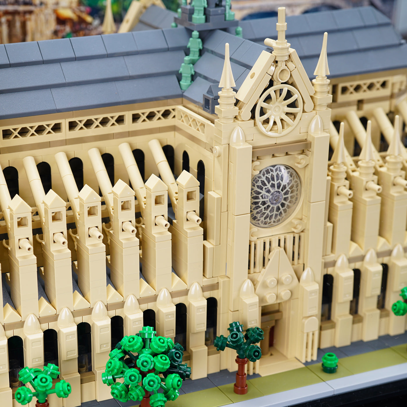 21061 Notre-Dame de Paris Display Case