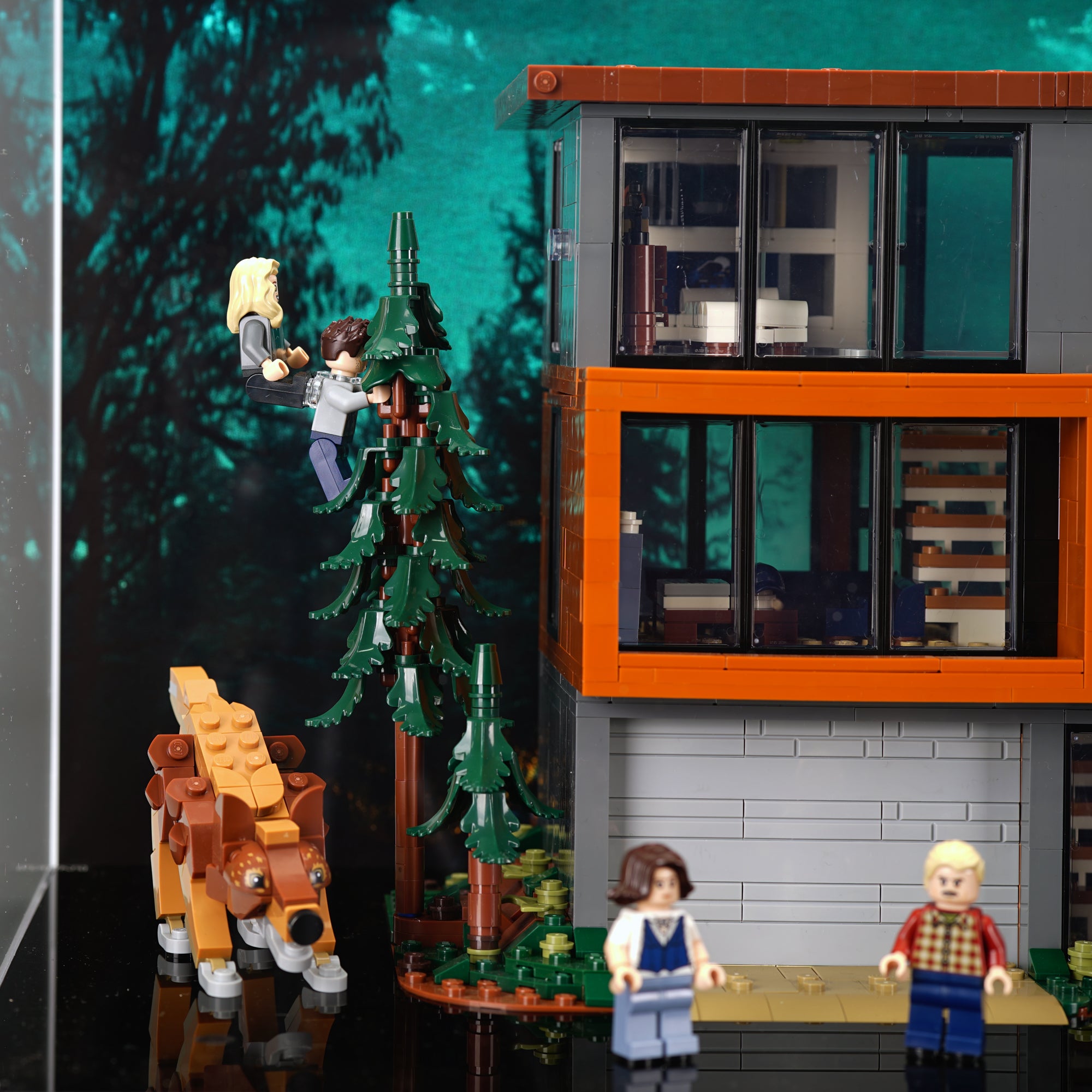 21354 Twilight The Cullen House Display Case