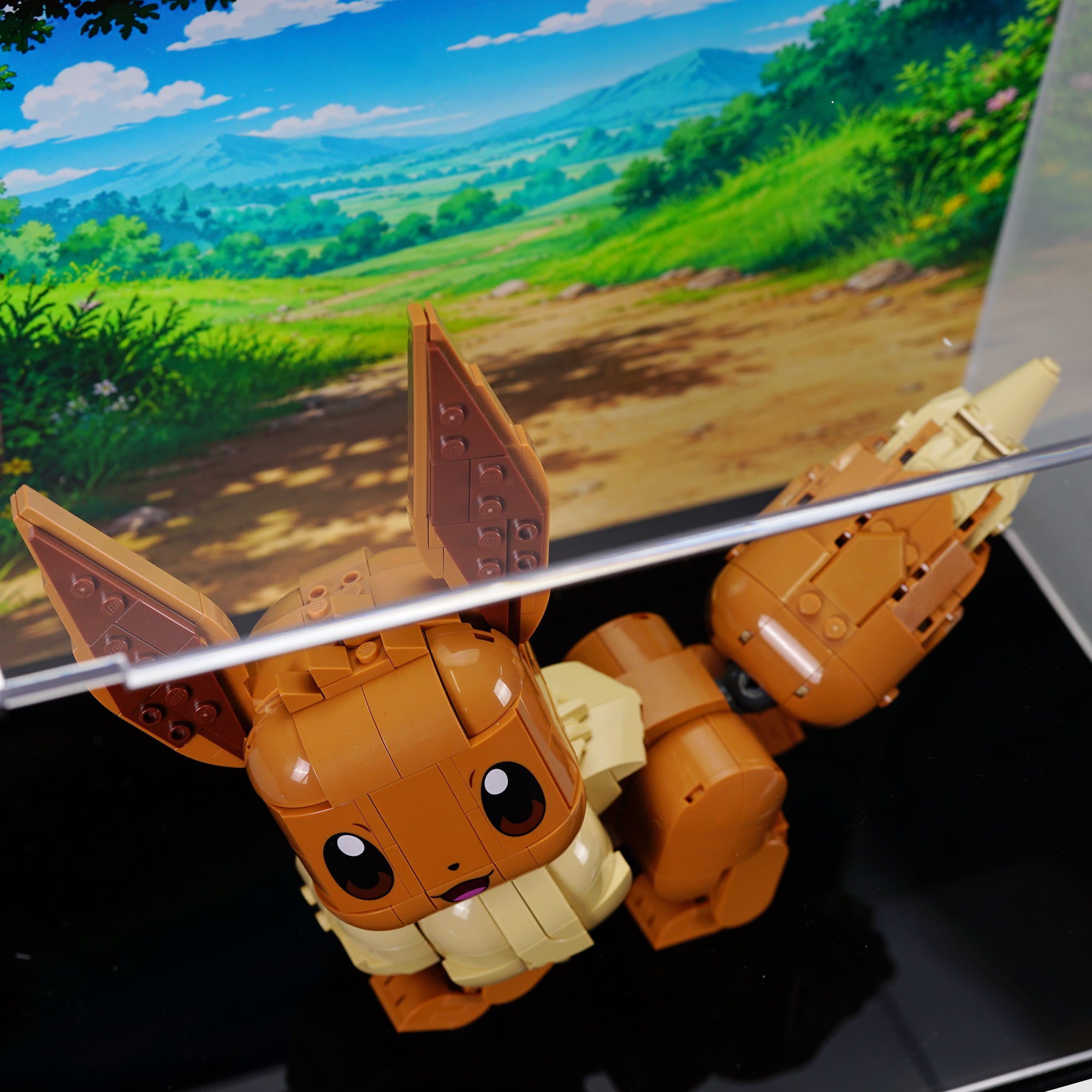 72151 Eevee Display Case