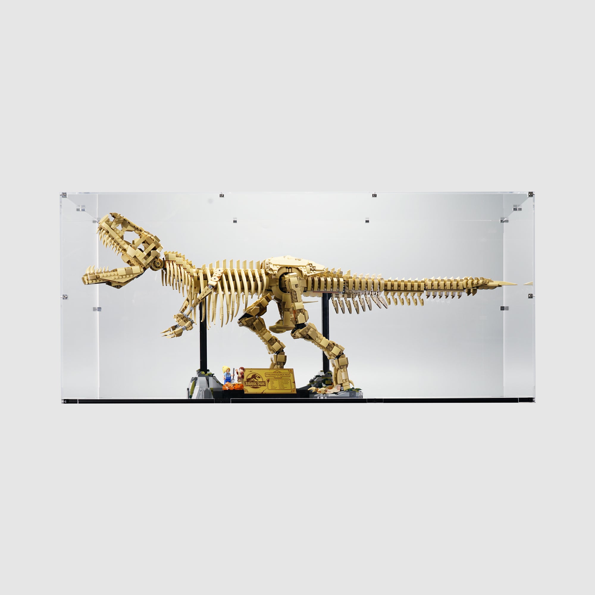 LEGO 76968 Dinosaur Fossils Tyrannosaurus rex Display Case | ONBRICK
