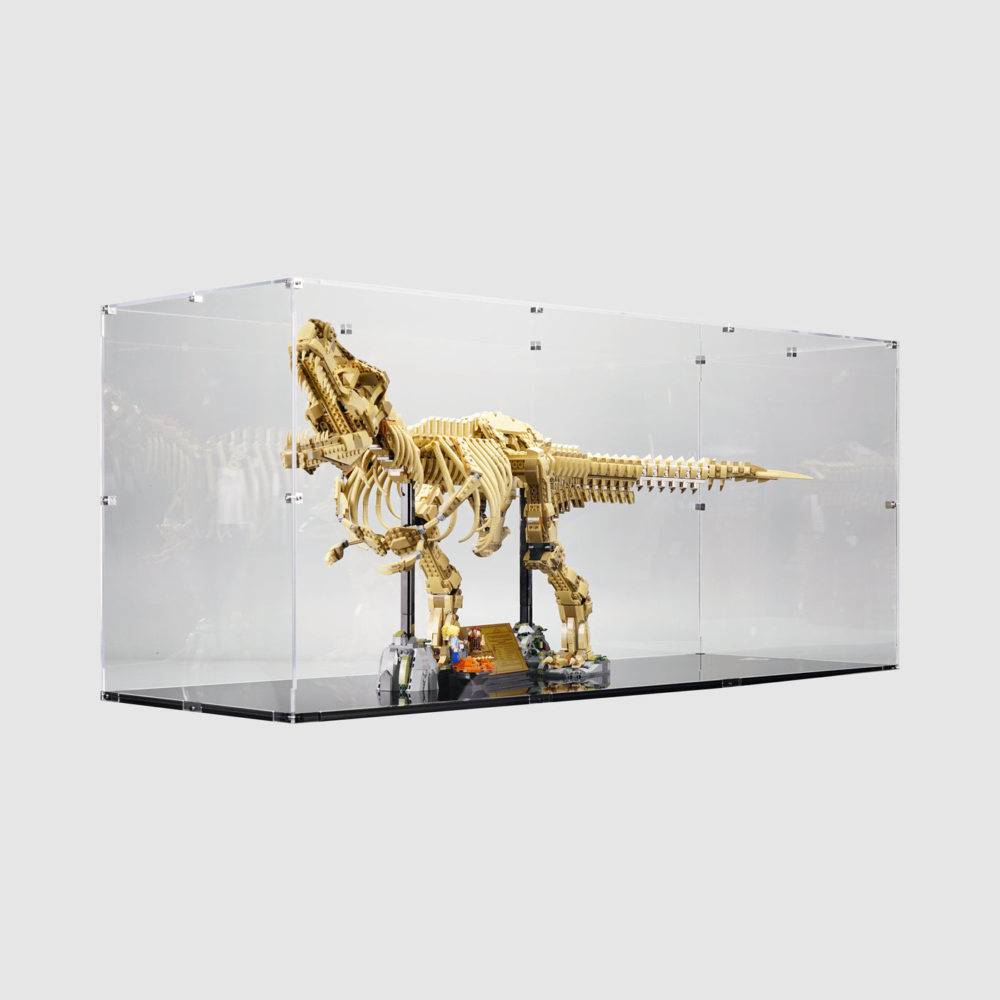 LEGO 76968 Dinosaur Fossils Tyrannosaurus rex Display Case | ONBRICK