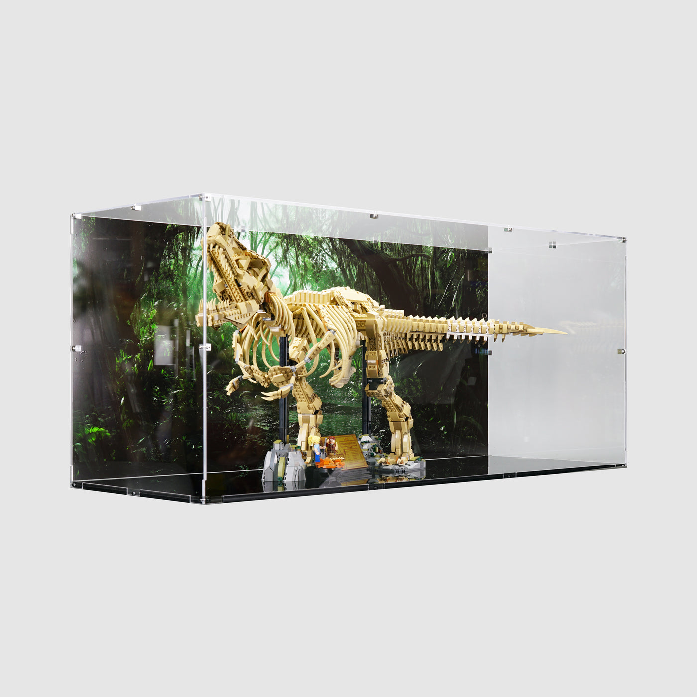 LEGO 76968 Dinosaur Fossils Tyrannosaurus rex Display Case | ONBRICK