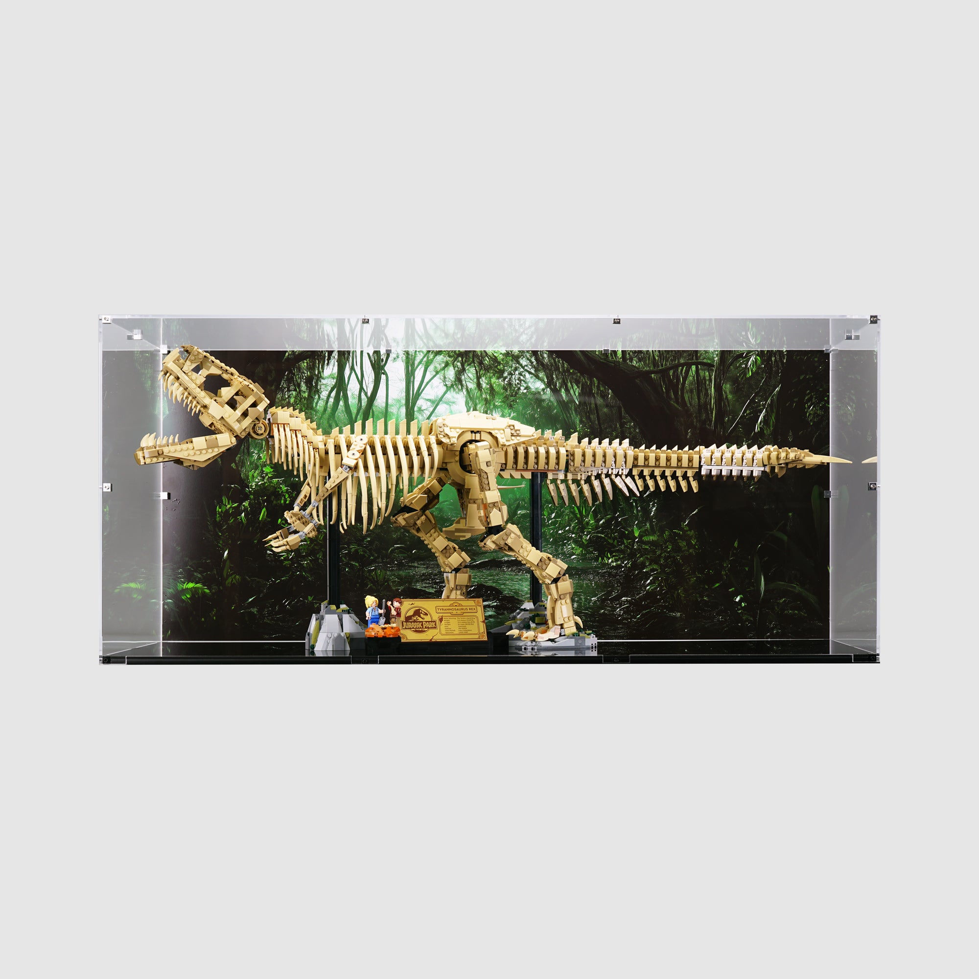 LEGO 76968 Dinosaur Fossils Tyrannosaurus rex Display Case | ONBRICK