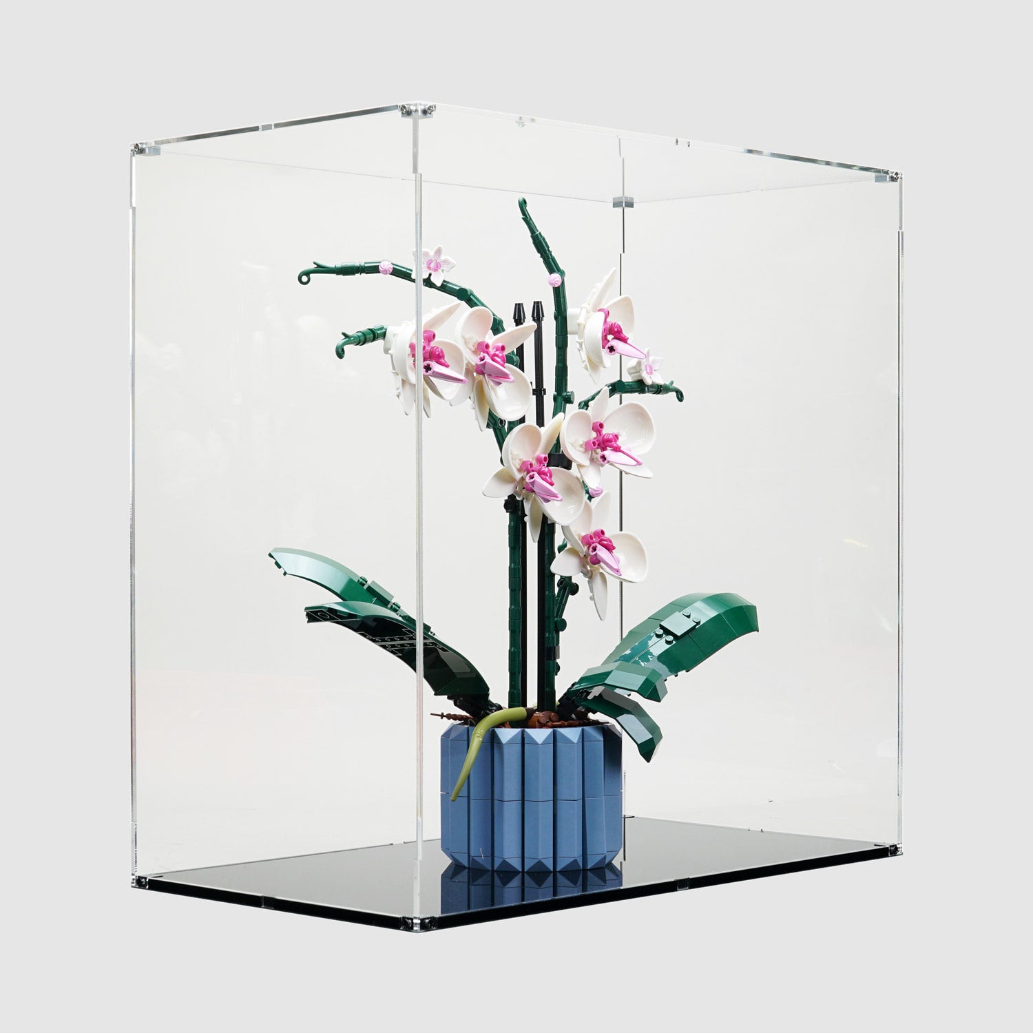 LEGO 10311 Orchid Display Case | ONBRICK