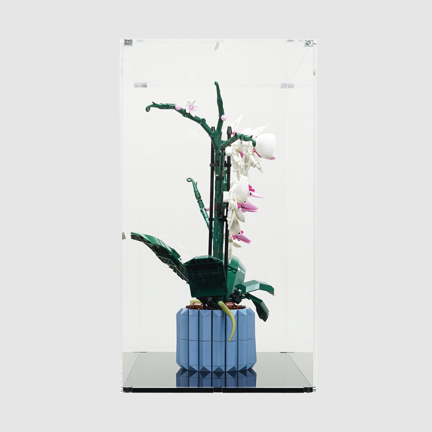 LEGO 10311 Orchid Display Case | ONBRICK